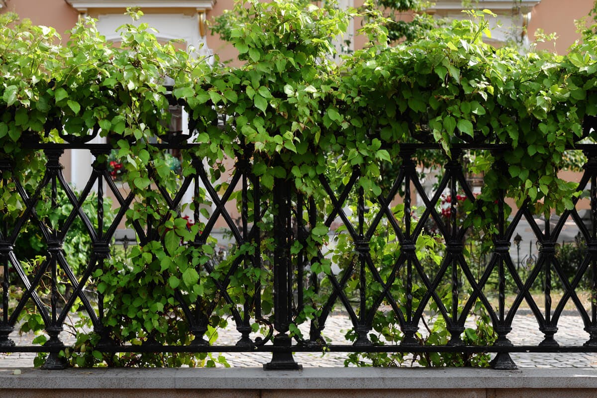 Metal decorative fencing