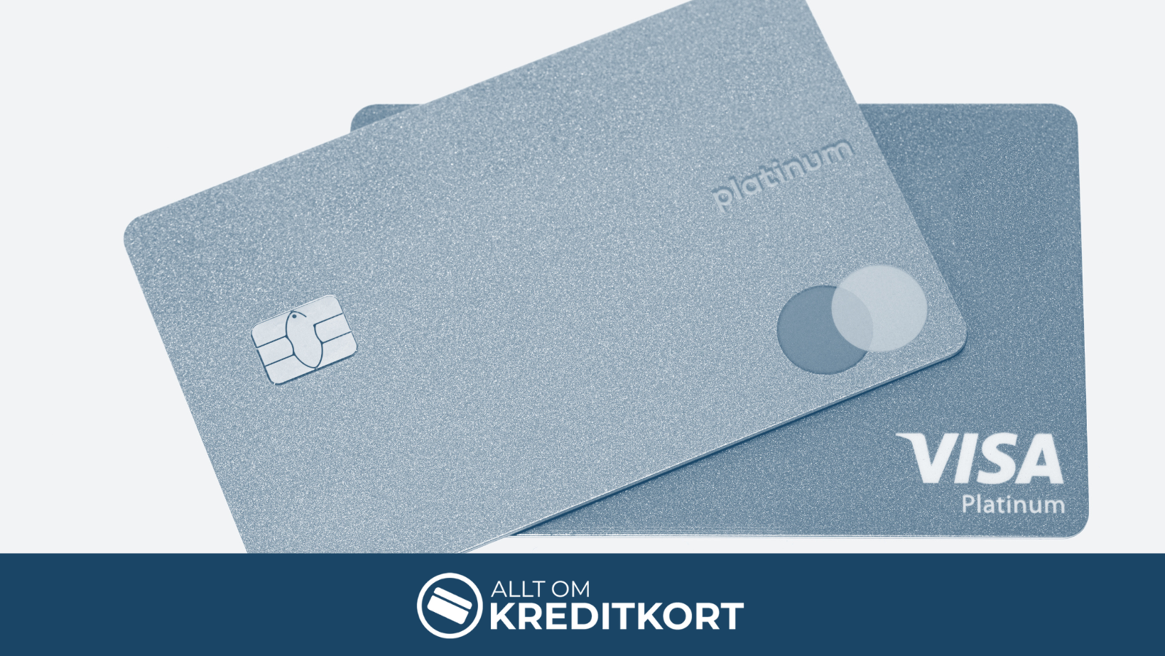 Sverige måste minska sitt beroende av amerikanska betalgiganter