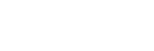 Lumens Digital Optics logo 
