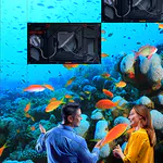 An Explanation of Barco UniSee Features and Partner Ecosystems