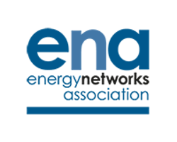 energy networks association