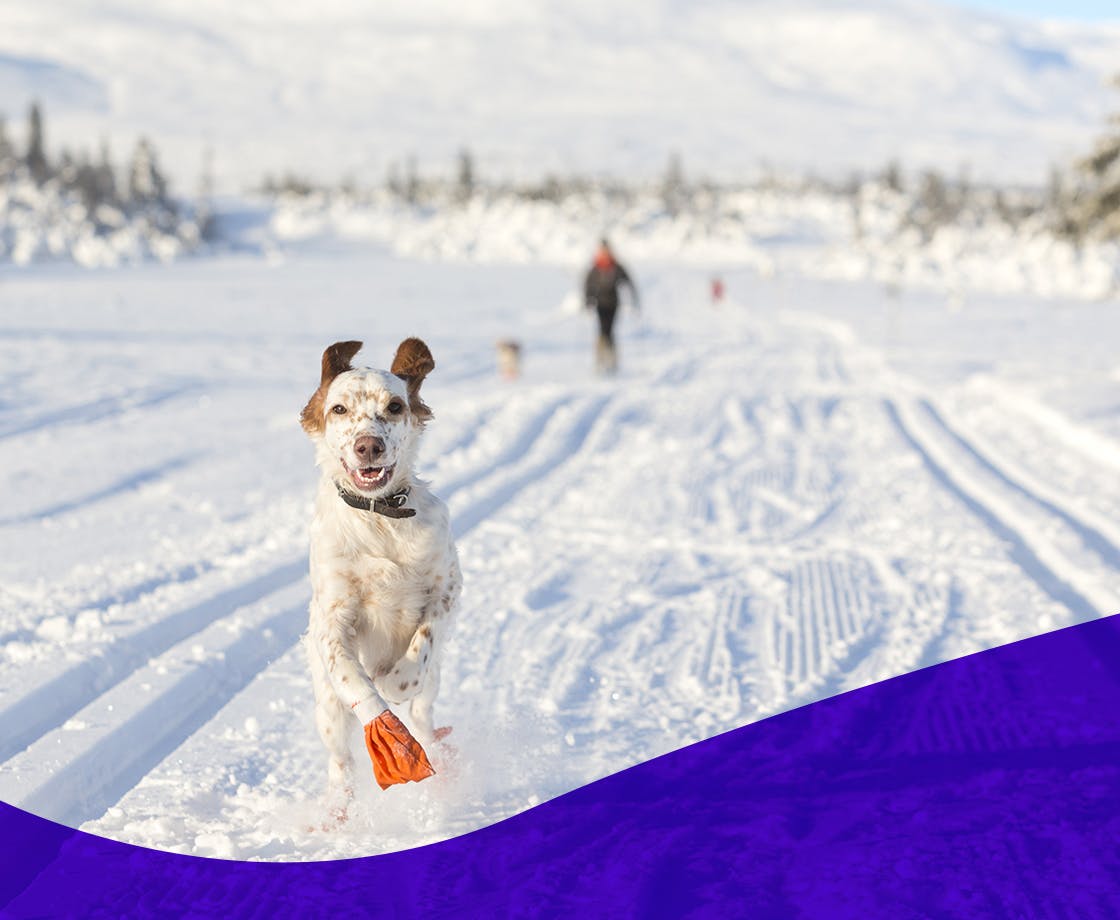 Une bonne routine d’hiver anti-fuites urinaires permet d’éviter la diurèse.