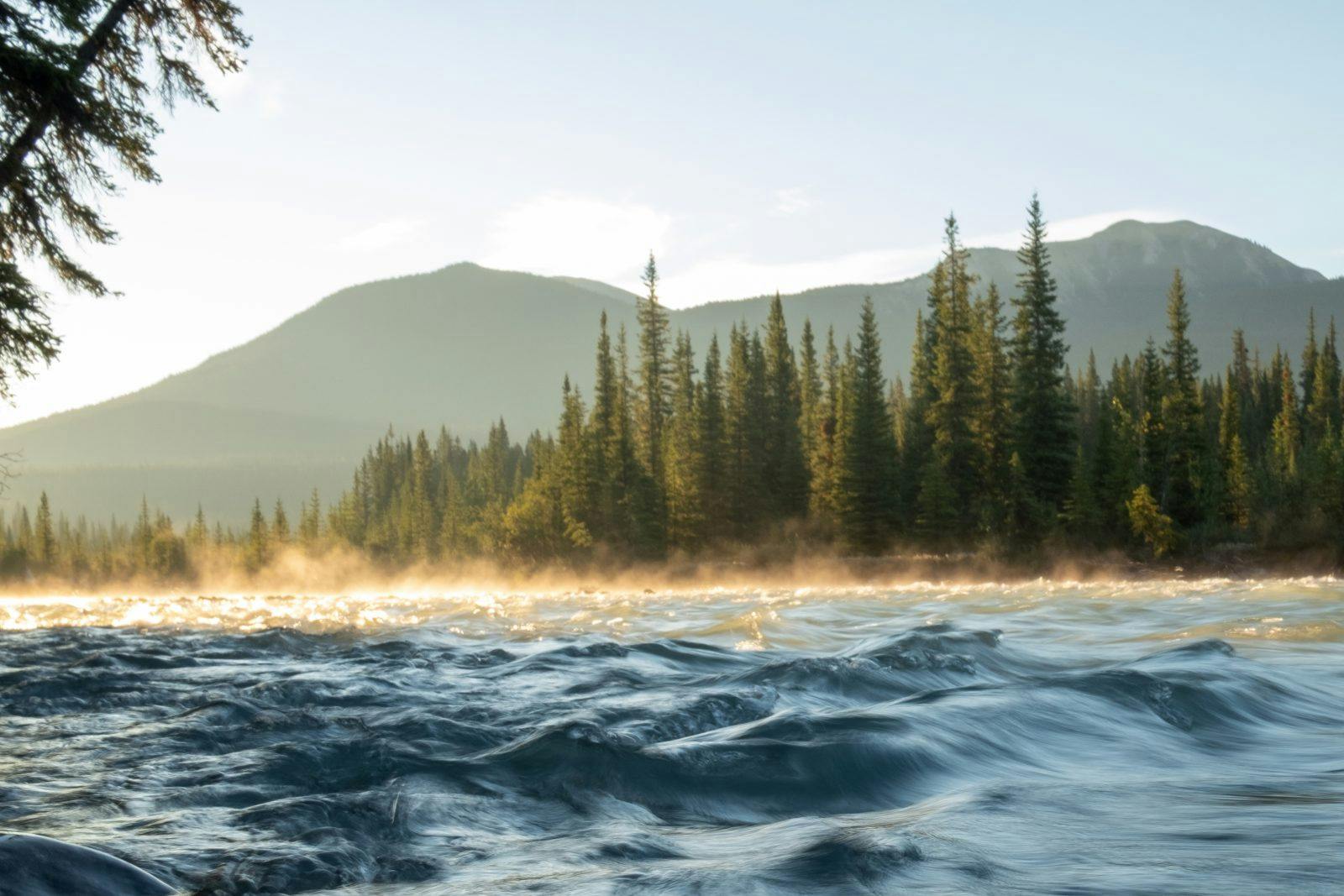 Sunrise mist on the Snake Indian River. Photo by Coburn Brown