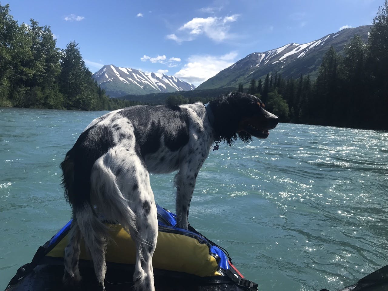 James Lyons: &#x201C;Subsistence Rafting: Floating the Kenai Canyon with a bird dog converted to salmon.&#x201D;