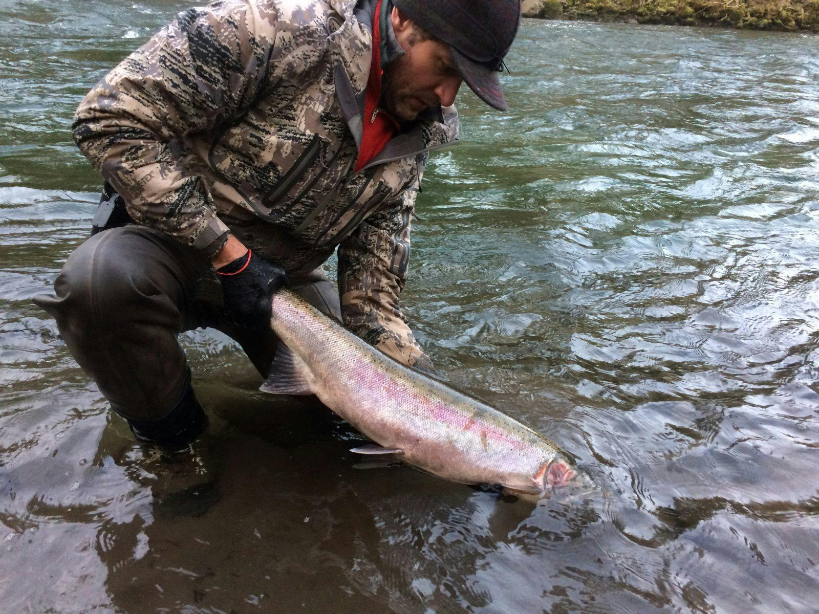 My good friend Eric Shoemaker caught and released this beautiful hatchery fish. It&#x2019;s a good reminder that we should only harvest what we intend to eat. This fish was carefully handled and safely released.