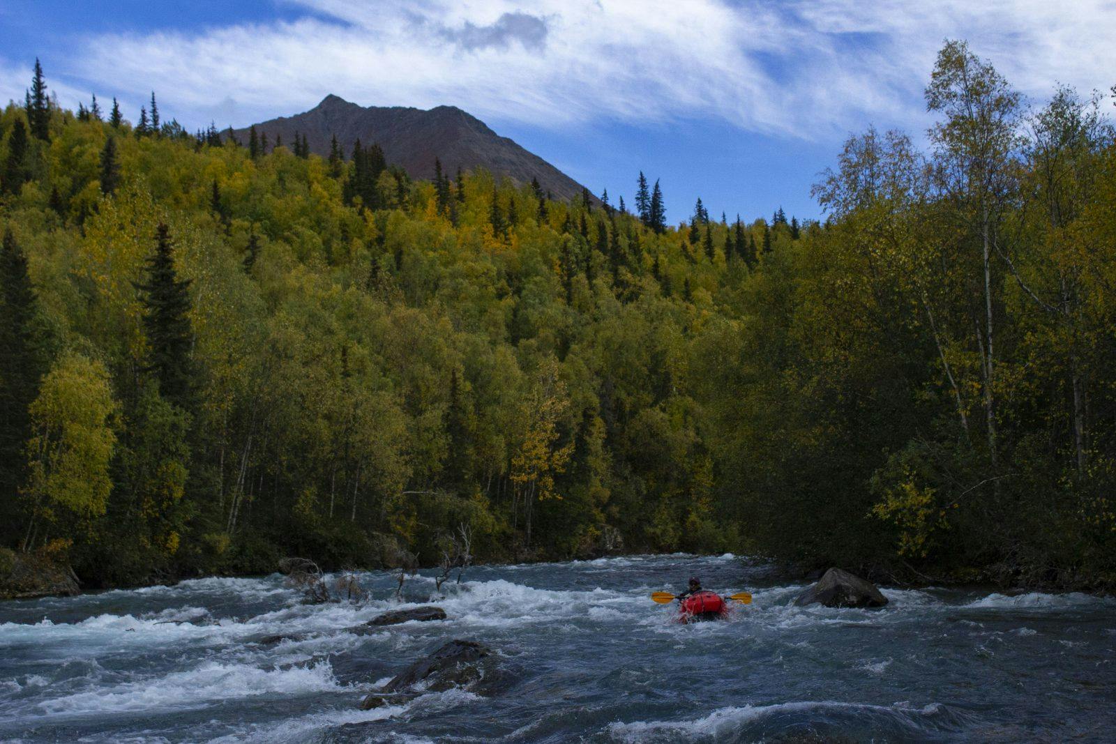 Paul Gabriel on the Tanalian River in search of a place to put a temperature logger. Photo by: Sam Carter