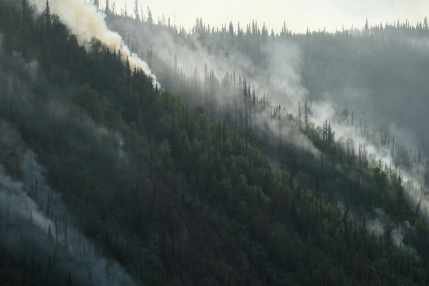 Wildfires caused by recent lightning strikes