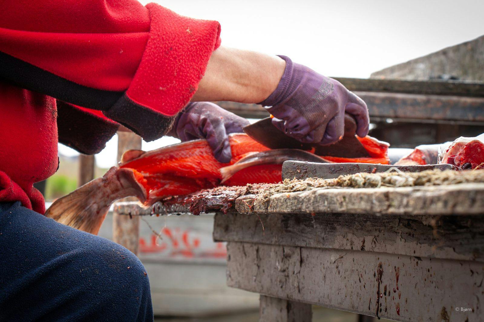 Save Bristol Bay from the Pebble Mine.