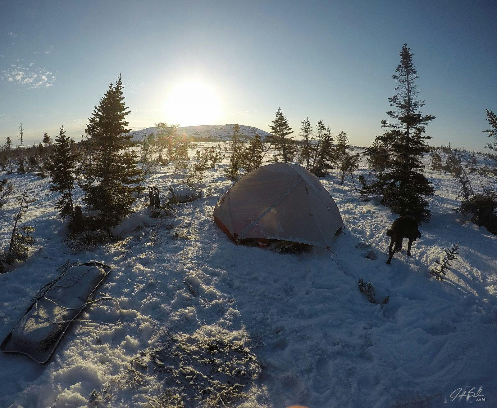 &#x201C;A sunrise in Newfoundland&#x2019;s Long Range Mountains will cleanse your mind. I witnessed many. This winter site laid on upwards of 7 feet of snow. To create the camp I needed to endlessly walk the ground with my snowshoes to ensure we had a solid compacted base while Saku cheered me on. But it&#xA0;was well worth it. The area was basically untouched besides the odd hunting/fishing lodge and the views are indescribable. Being here made me feel small. With barren, inhospitable land surrounding me from all angles, it gave me goosebumps that I still feel today. Chase your dreams folks, anything is possible!&#x201D;