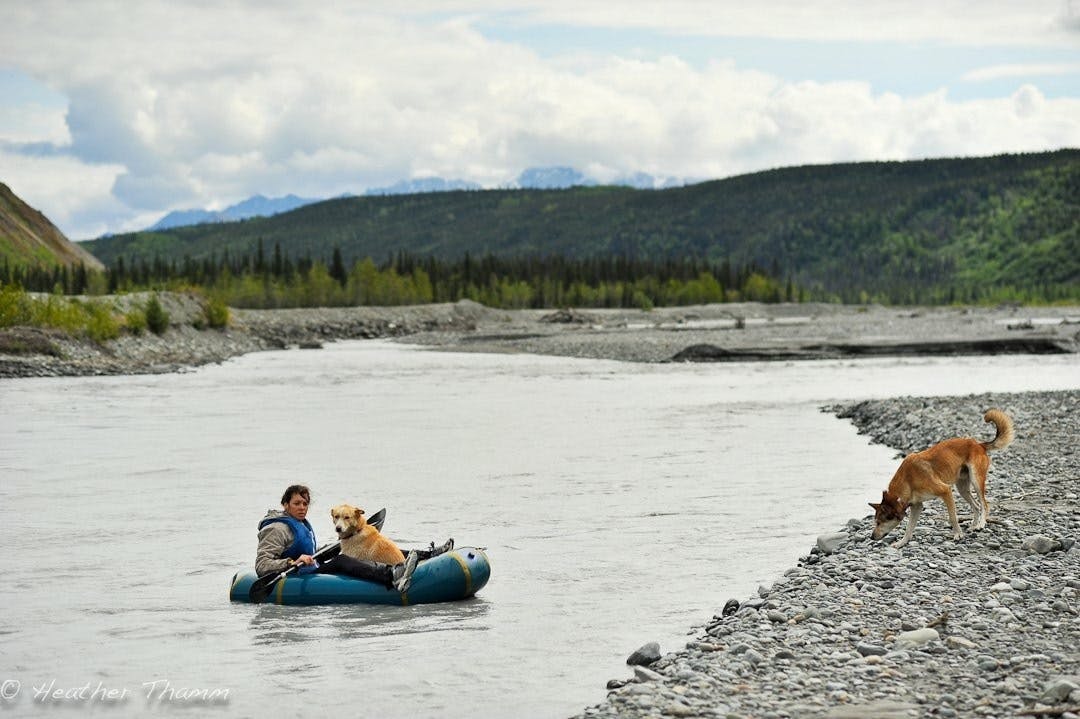 Heather Thamm: &#x201C;Matanuska State Ferry. Betsy Young ferrying her pups home after a day at the office. Matanuska River, Alaska.&#x201D;