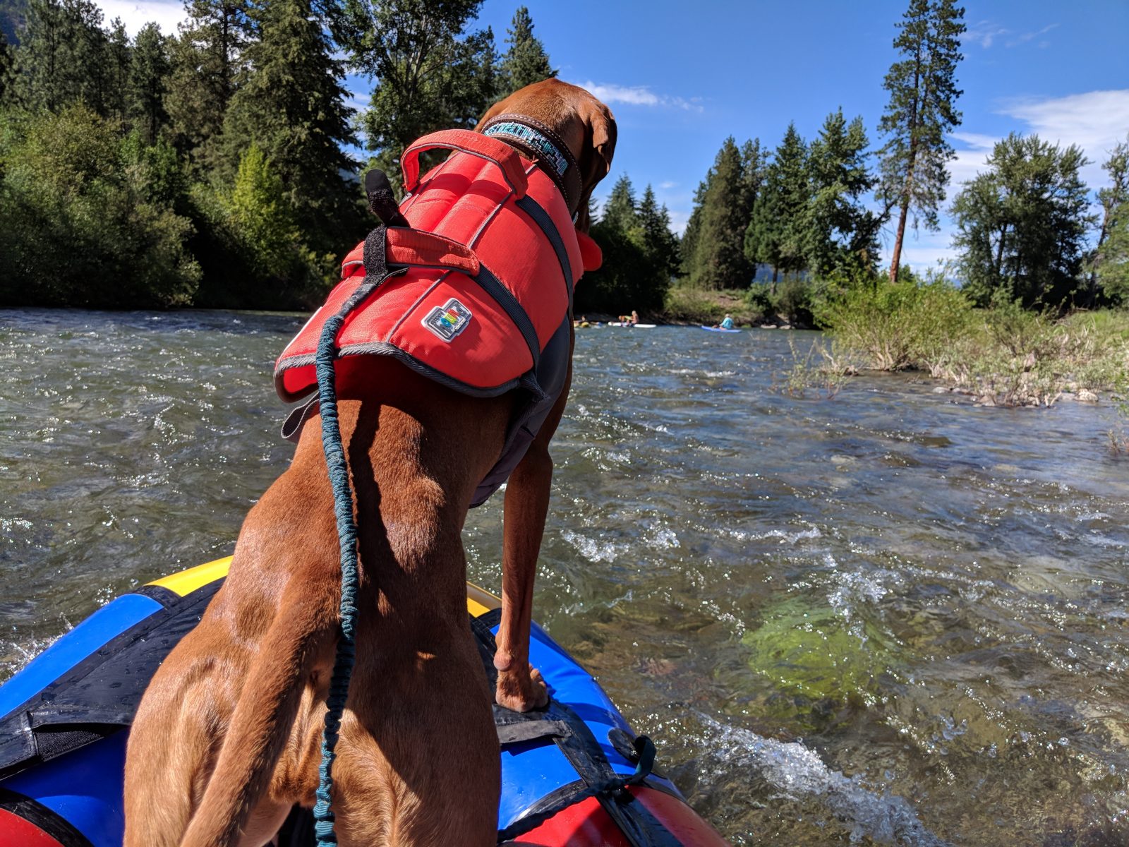 2nd Annual DogsOfPackrafting Photo Contest Alpacka Raft Blog