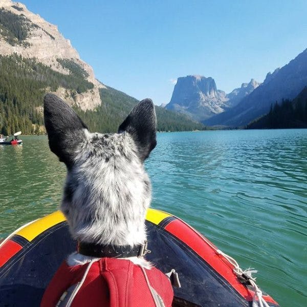 Runner up: &quot;Soaking up the last of summer with some of my favorites Wind River Range, WY,&quot; @nomadic_soles