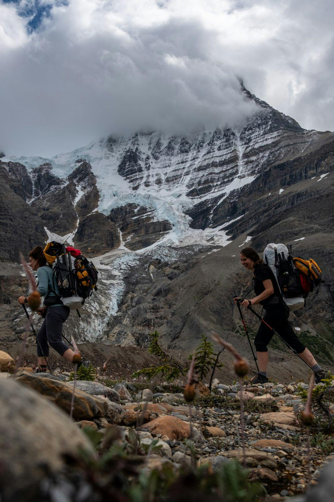 Glaciers sprawling down the backside of Mt. Robson. Photo by Coburn Brown