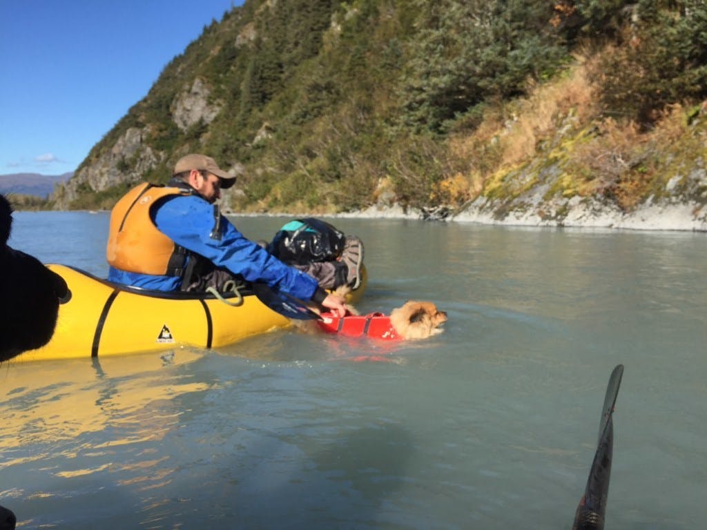 Adam White: &#x201C;Potty Break; Leo decides when it&#x2019;s break time! Leona and Adam, her fur-daddy, on Portage River in Alaska.&#x201D;