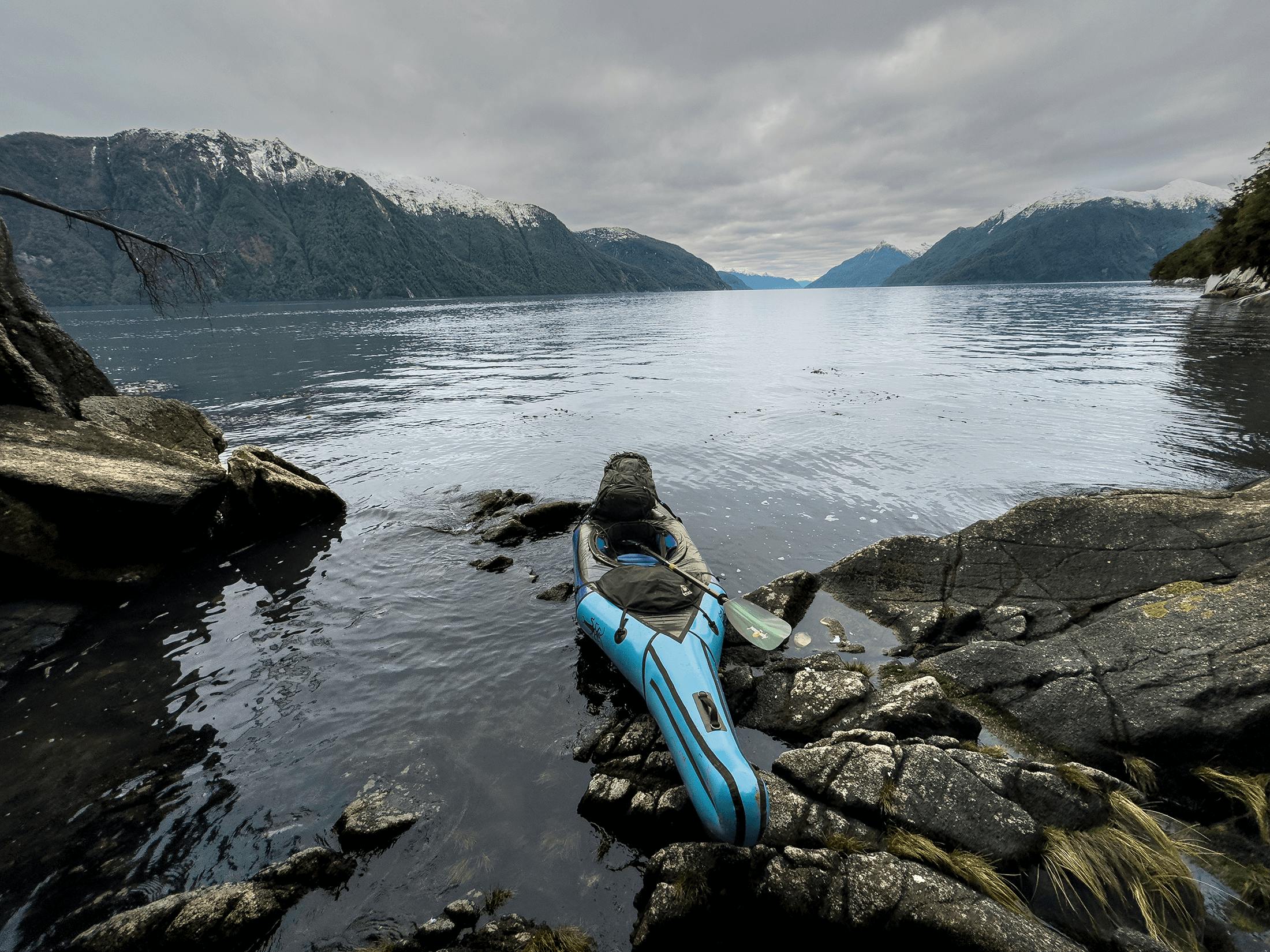 Aleutian in Patagonia among whale bones.