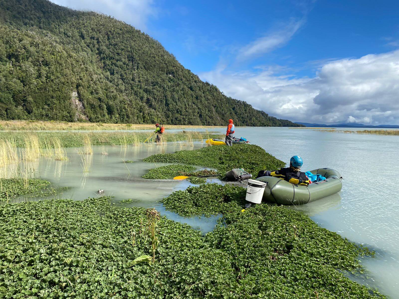 Conservation Tales: The Race to Find and Protect Patagonia's