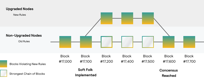 populating blockchain