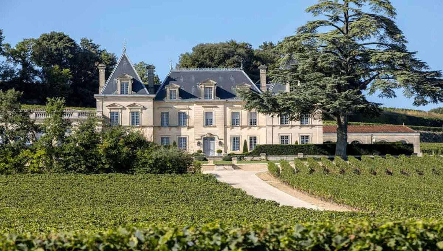 Grande maison accompagnée de nombreuses vignes, obtenue après un investissement de plus de 100 000 euros dans des placements financiers pertinents.