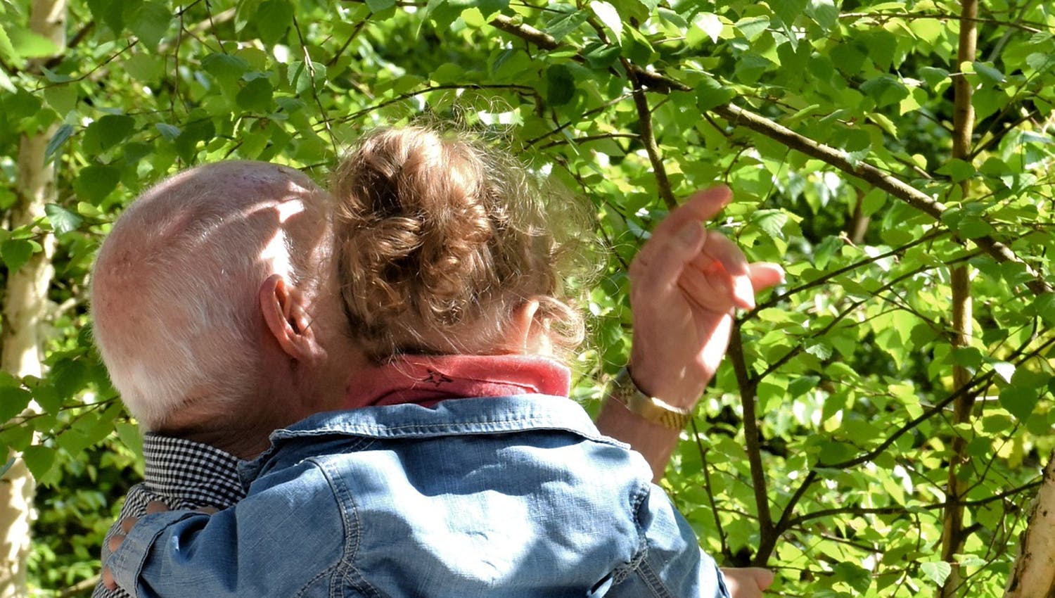 Grand-parent qui transmet son savoir à sa petite-fille, tout en transmettant son patrimoine grâce au PER