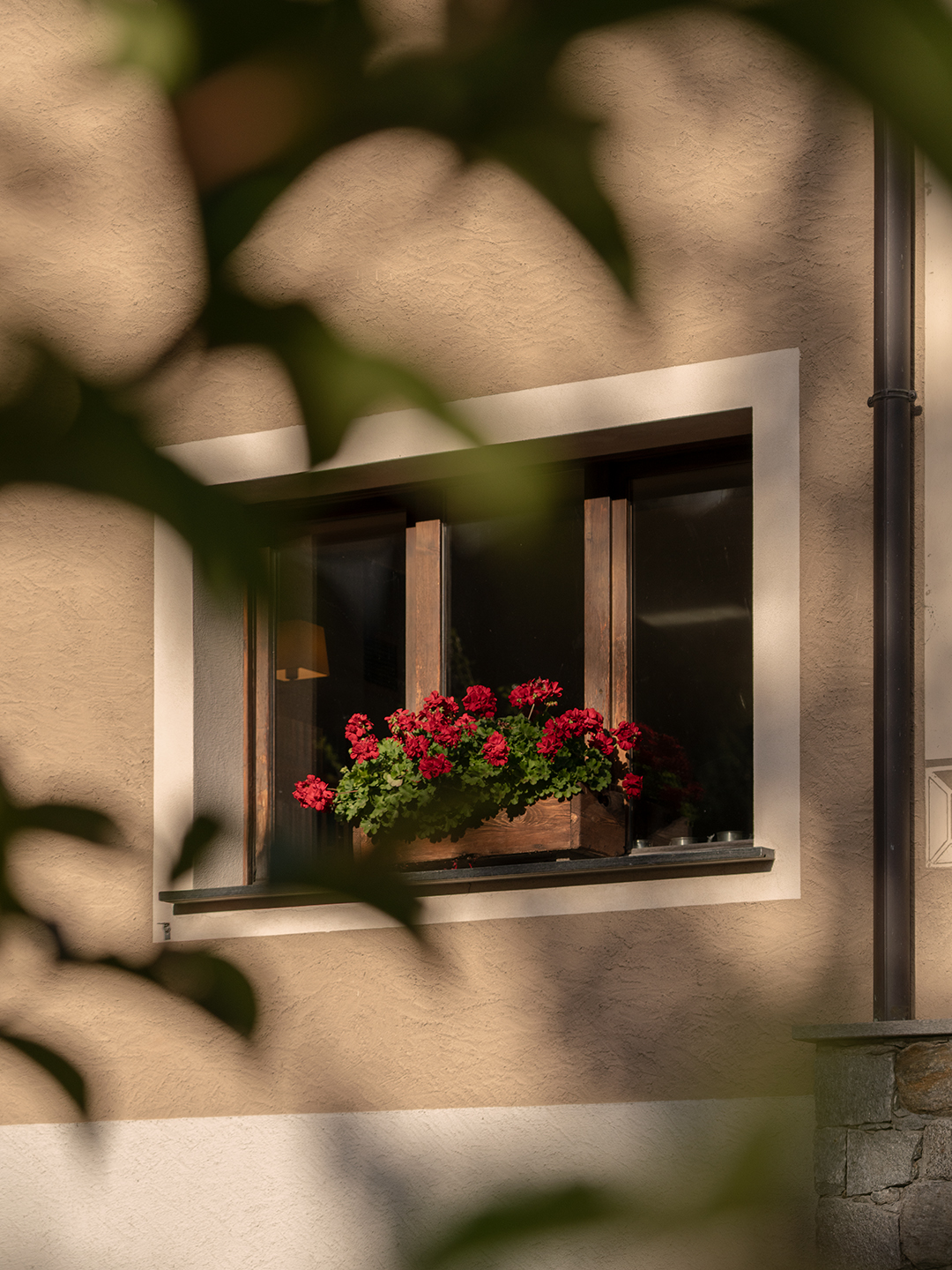 Finestra con gerani rossi su parete tradizionale alpina, ripresa attraverso fogliame naturale con luce soffusa