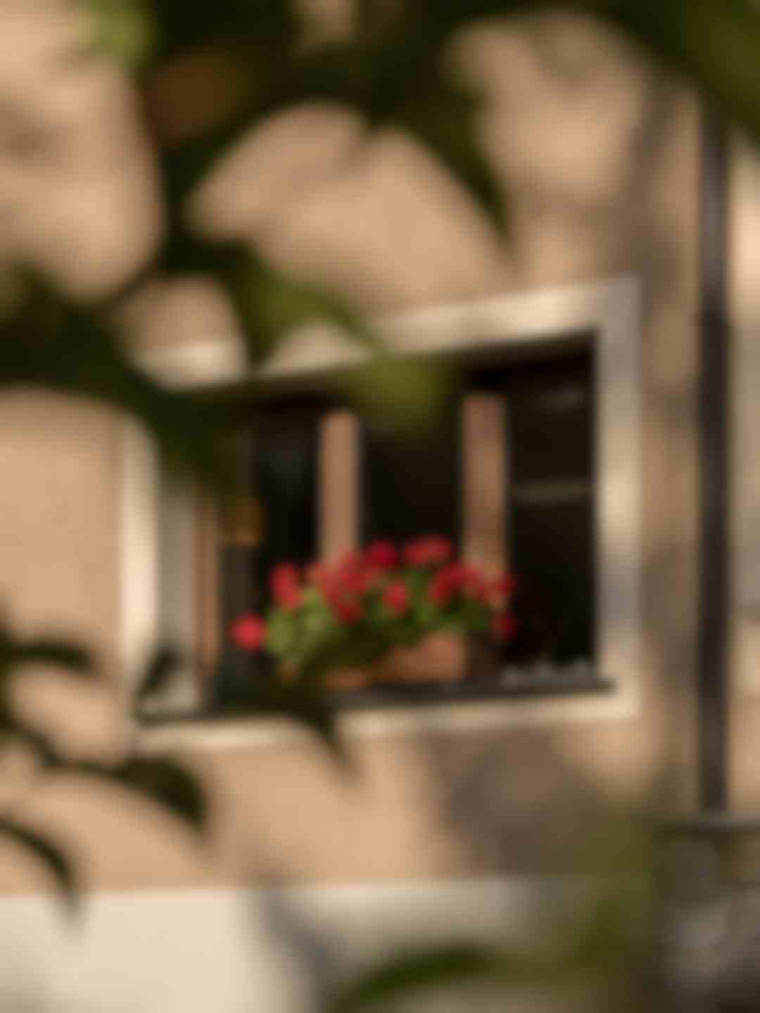 Finestra con gerani rossi su parete tradizionale alpina, ripresa attraverso fogliame naturale con luce soffusa