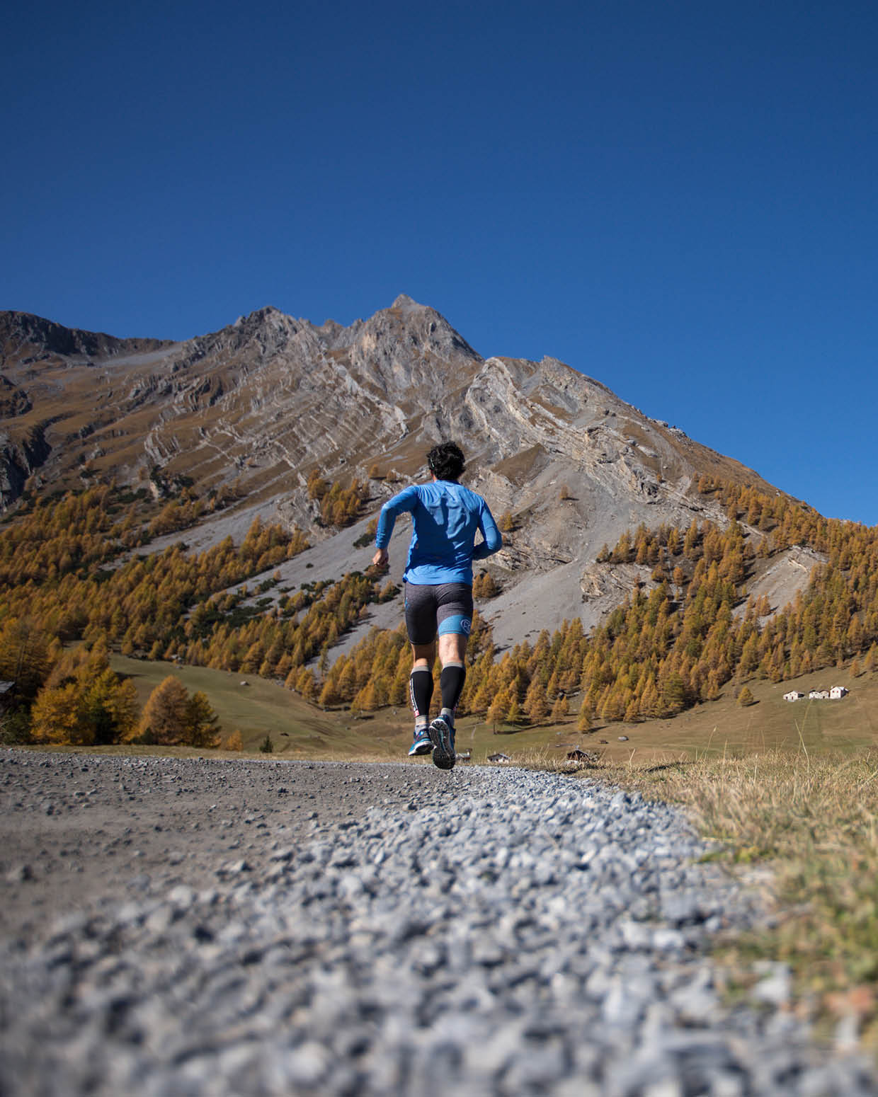 Trail runner su sentiero di montagna con larici autunnali dorati e cime alpine sullo sfondo