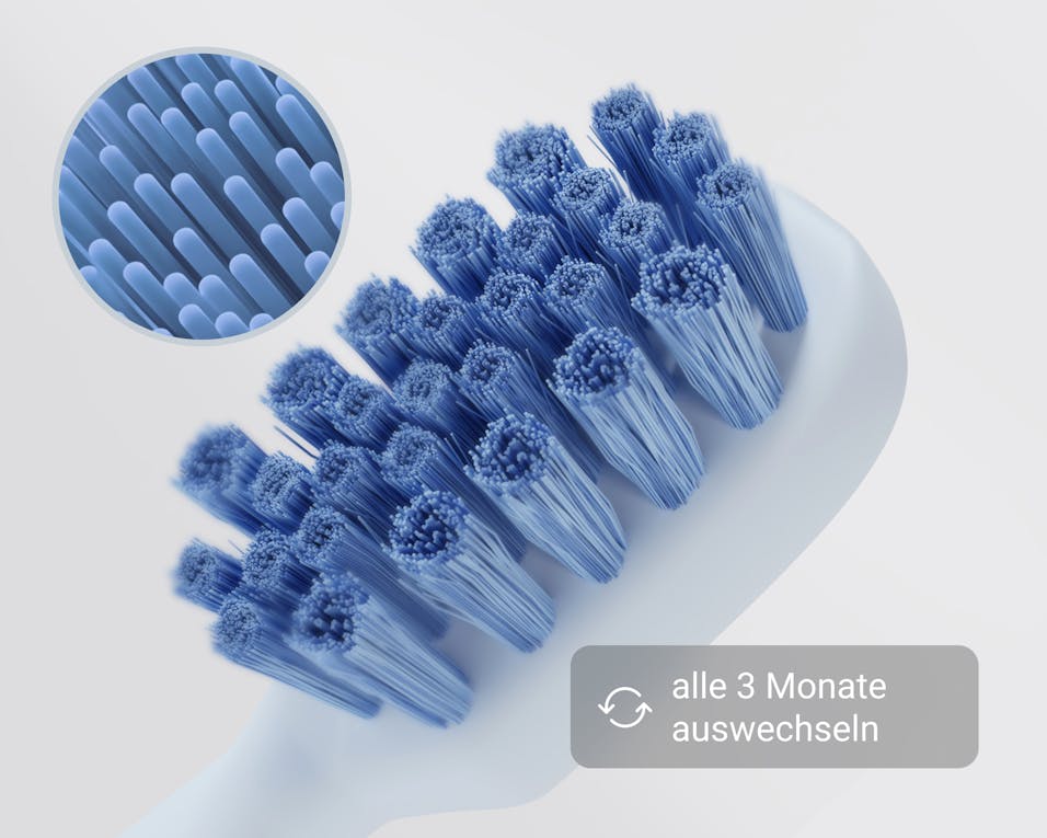 Sonic toothbrush brush heads, antibacterial bristles, replacement brush heads, soft toothbrush heads, effective plaque removal, gentle tooth cleaning, gum care, oral hygiene, toothbrush head replacement, sonic technology toothbrushes