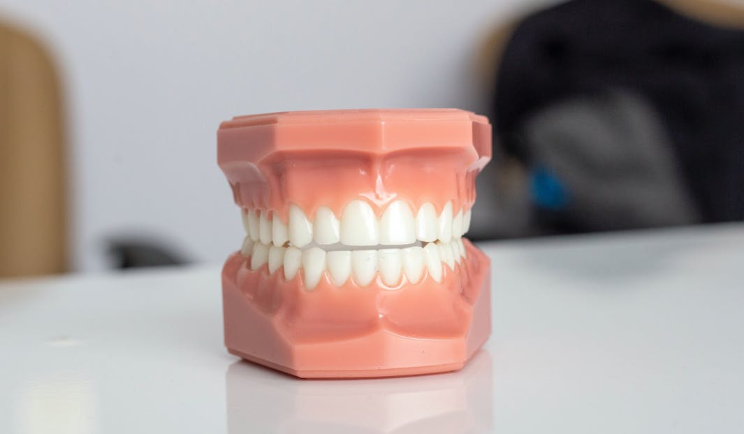 Estrutura do dente, anatomia do dente, coroa do dente, raiz do dente, esmalte do dente, dente, nervo do dente, leito do dente, gengiva, clareamento dental, clareamento caseiro, vasos sanguineos, peróxido de hidrogenio, higiene bucal, dentes brancos, dentes permanentes, esmalte dentário, dentes de leite, esmalte dos dentes, sensibilidade nos dentes, placa bacteriana, limpeza dos dentes, superfície dos dentes, estrutura dentária, limpeza profissional, higiene oral, estrutura dos dentes, estrutura dental