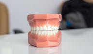 Zahnaufbau, Zahnanatomie, Zahnkrone, Zahnwurzel, Zahnschmelz, Zahnbein, Zahnnerv, Zahnbett, Zahnfleisch