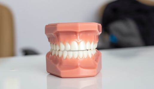 Estrutura do dente, anatomia do dente, coroa do dente, raiz do dente, esmalte do dente, dente, nervo do dente, leito do dente, gengiva, clareamento dental, clareamento caseiro, vasos sanguineos, peróxido de hidrogenio, higiene bucal, dentes brancos, dentes permanentes, esmalte dentário, dentes de leite, esmalte dos dentes, sensibilidade nos dentes, placa bacteriana, limpeza dos dentes, superfície dos dentes, estrutura dentária, limpeza profissional, higiene oral, estrutura dos dentes, estrutura dental