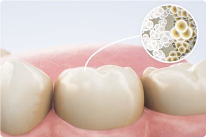 Alpine White乐瑞白, 加盟, 优势