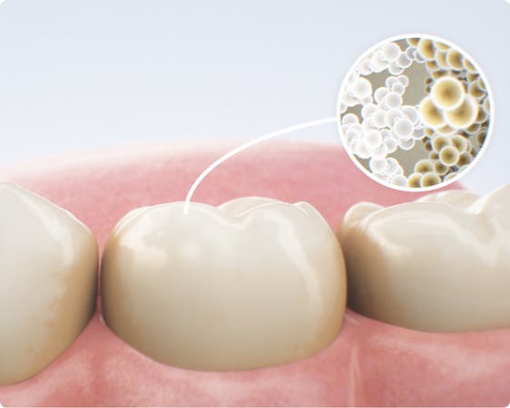 Fitas Clareadoras Sensíveis ALPINE WHITE – clareamento dental suave, seguro e eficaz, ideal para dentes sensíveis. Tecnologia suíça sem peróxidos, resultados visíveis em apenas 3 dias.