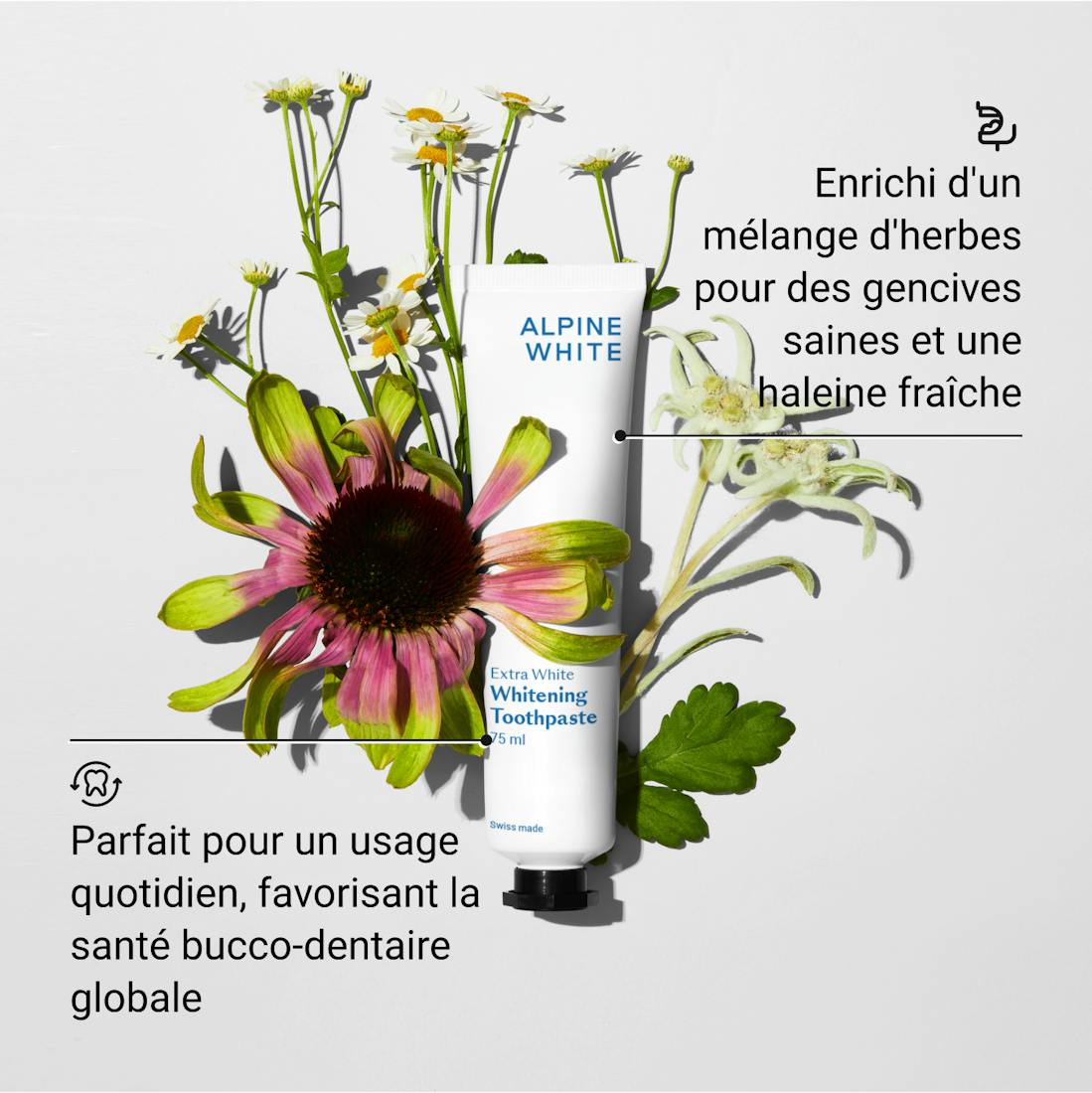 Dentifrice Blanchissant Extra White Alpine White avec PAP et charbon actif, pour des dents visiblement plus blanches et une haleine fraîche. Formule suisse végane, douce pour l’émail et efficace contre les taches tenaces.