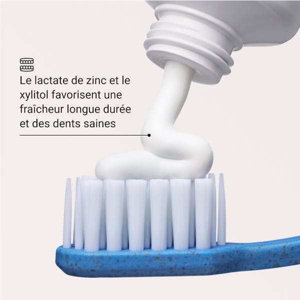 Dentifrice Blanchissant Anti-Plaque Alpine White, spécialement conçu pour éliminer efficacement la plaque dentaire tout en blanchissant vos dents en douceur. Formule suisse sans peroxyde, vegan, idéale pour un usage quotidien.