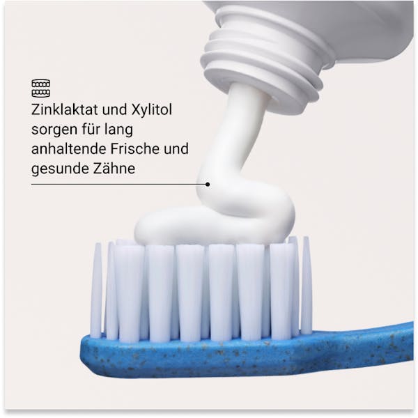 Alpine White, Whitening Toothpaste, Anti Plaque, Swiss Made