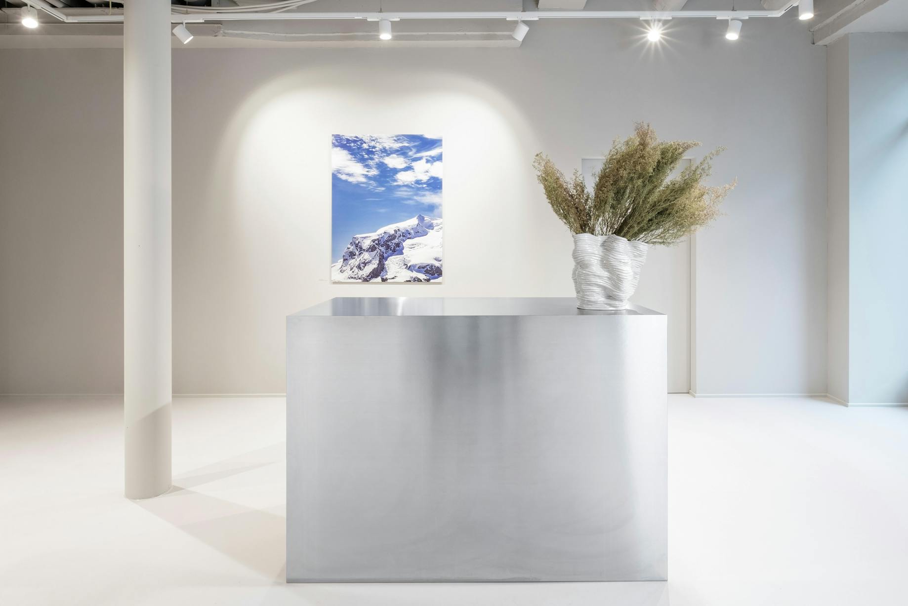 alpine white, dental studio