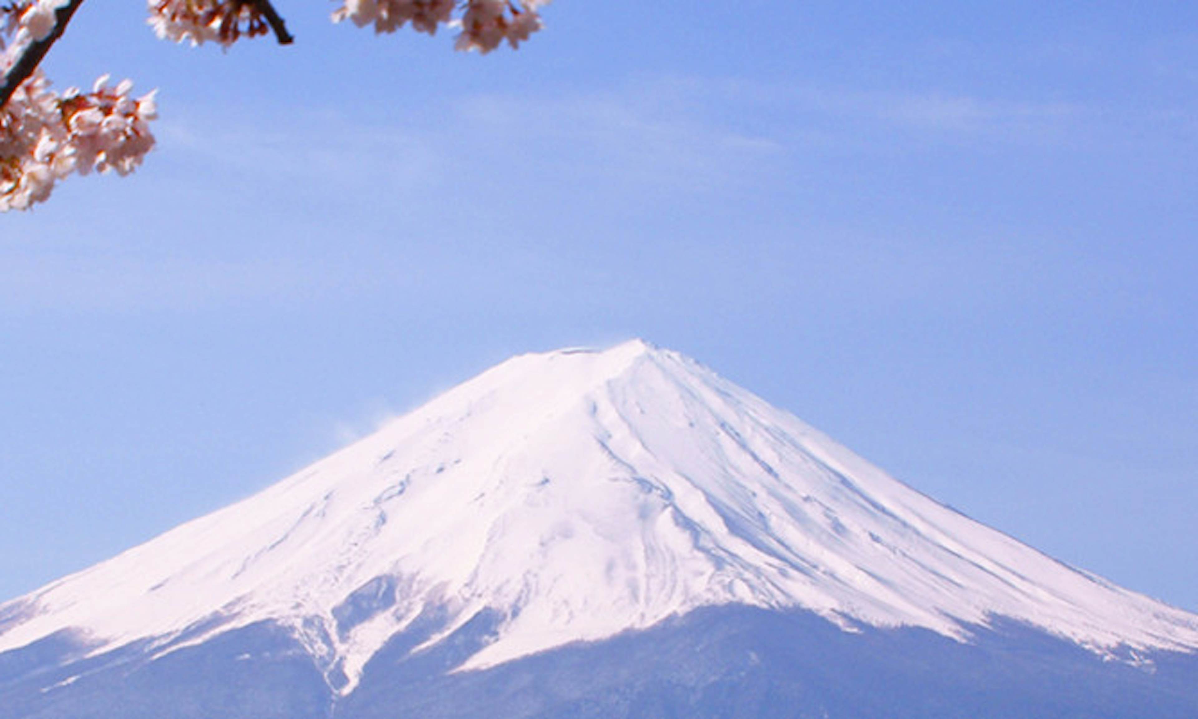 white snow cap on mount fuji with cherry blossom branches