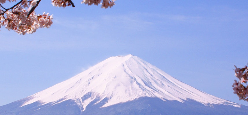 white snow cap on mount fuji with cherry blossom branches