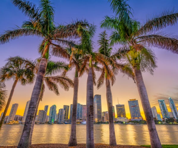 Miami, Florida Skyline with Palm Trees