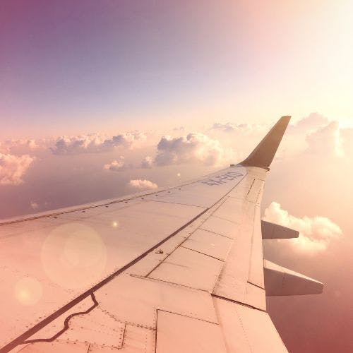 Plane wing