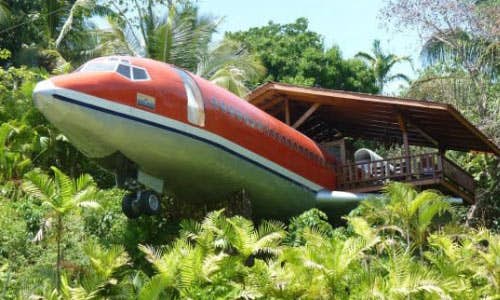 A plane that has been converted into an Airbnb property to stay in Costa Rica. Surrounded by luscious green foliage 