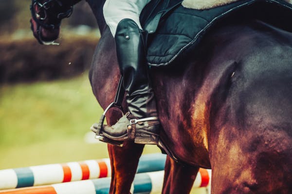 Horse about to jump