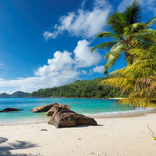 Beach in Jamaica