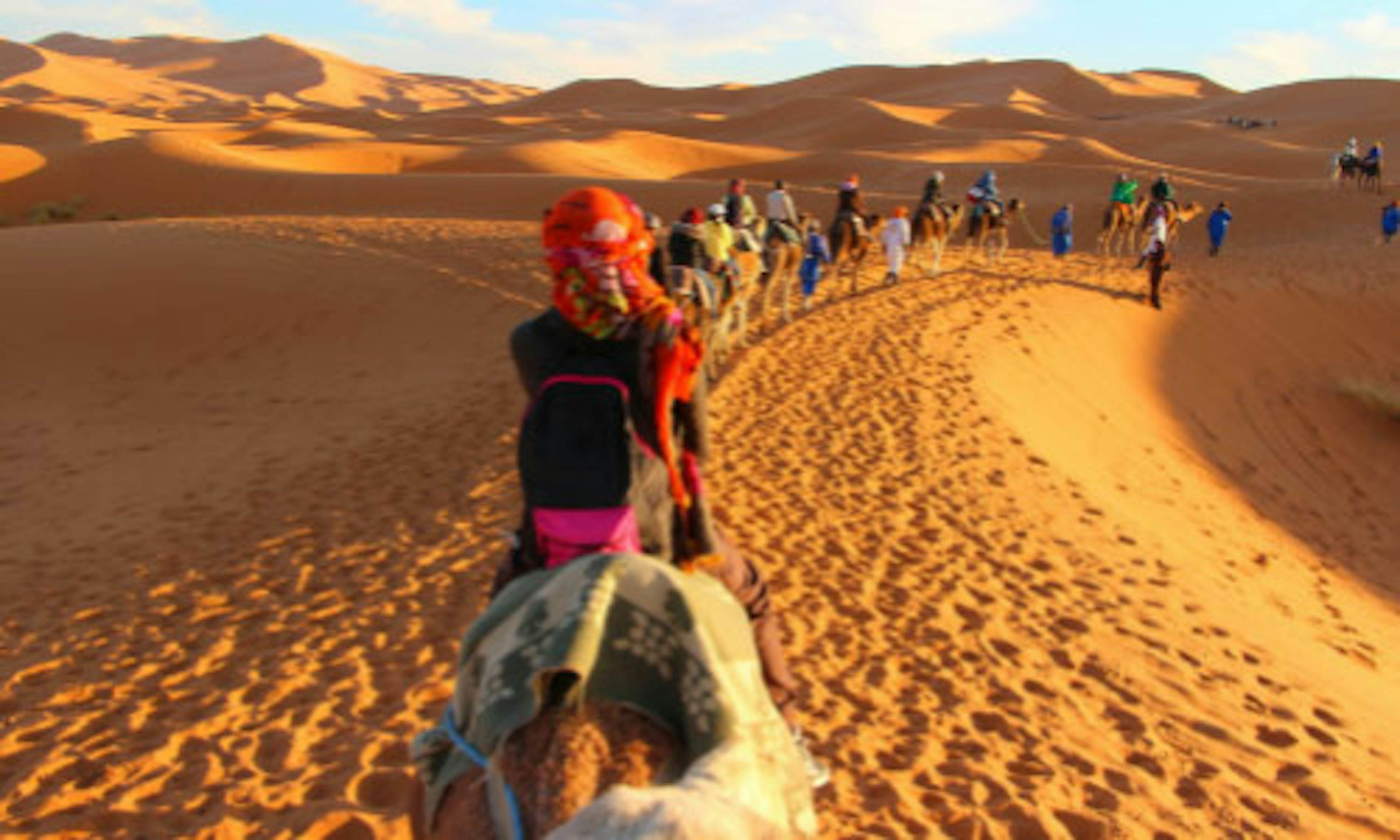 A view from the back of a camel, looking straight ahead at the chain of camel riders in front. Riding over sunlit dunes in the Sahara desert.