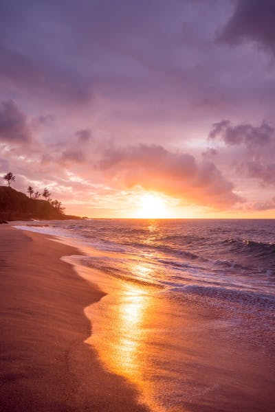 Beach With Purple Sunset. 