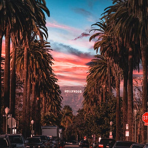 Picture of palm trees and Hollywood sign in Los Angeles