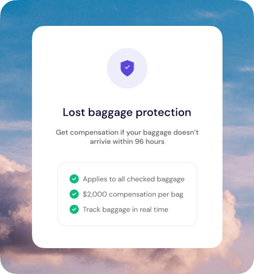 Lost baggage protection infographic