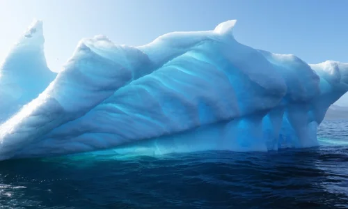 An iceberg 
