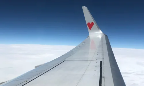 Aircraft wing with heart