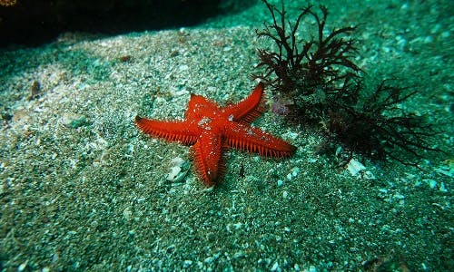 Earth Month: 10 Eco Tourism Destinations Earth Month: 10 Eco Tourism Destinations